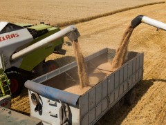 Хиймэл дагуул ашиглан хөрсний чийгшил, үржил шимийг тогтоож байна  