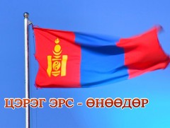 Төрийн цэргийн түүхэн хөгжил... 