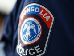 Түлээний мод бэлтгэж байгаад нас барсан хэрэг гарчээ