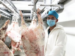 Мах бэлтгэн нийлүүлэгчид нийслэлд махаа борлуулах боломжтой