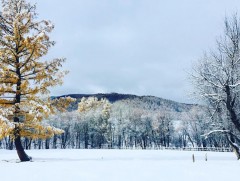 Манай орны нийт нутгийн 50 гаруй хувь нь цастай байна