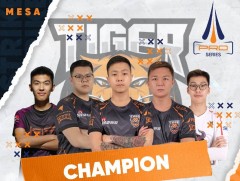 “Tiger” баг түрүүлж, “Checkmate” дэд байрт оров