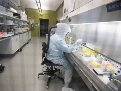 Коронавирусний шинж тэмдэг 6 сар хүртэлх хугацаагаар үргэлжлэх тохиолдол байгааг судлаачид тогтоожээ