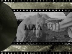 Өвөлжилт, мал маллагааны өнгө төлөв