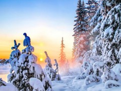 Улаанбаатарт өдөртөө 15 хэм хүйтэн