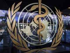 ДЭМБ: Коронавирус дамжуулагч завсрын амьтнаас хүнд халдсан байх магадлалтай....