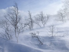 Ойрын өдрүүдэд ихэнх нутгаар хүйтэрнэ