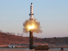 БНАСАУ далавчит  пуужингуудаа туршсаныг Өмнөд Солонгос  баталлаа