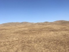 Гэрээсээ төөрсөн охиныг олжээ