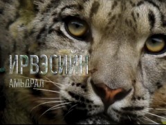 “Ирвэсийн амьдрал” Баримтат кино