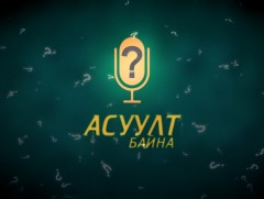 Асуулт байна: Сангийн дэд сайд С.Мөнгөнчимэг