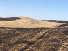 Хаврын хуурайшилттай үед иргэдийг гал алдахаас сэргийлэхийг анхааруулав