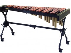 Цохивор хөгжмийн хөгжил, өнөөгийн чиг хандлага