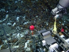 БНХАУ далайн ёроолд судалгааны лаборатори ажиллуулж эхэлжээ