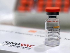 ДЭМБ: БНХАУ-ын Синовак компанийн вакциныг бүртгэлжүүллээ