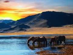 Миний сайхан хөдөө