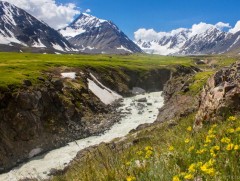 Алтайн ноён оргилуудад мандуулсан төрийн далбааг олимпын хотхонд зална