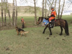 Б.Ядамжав: Урьдчилан сэргийлэх ажиллагаанд морьд ашиглаж эхэлсэн нь Монгол ахуй, соёлоо түгээн дэл..
