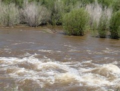 Үерийн аюулаас урьдчилан сэргийлэх мэдээ   