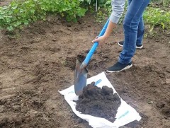 Хөгжилд хөтөлсөн бүтээлүүд: Хөрс судлал 