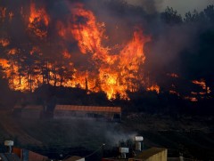 Турк улсад ой хээрийн түймрээс үүдэн 10 мянган хүнийг нүүлгэн шилжүүлээд байна 