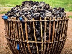 Аргалын гал