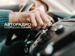 Регистрийн алдаатай жолооны үнэмлэхээ солиулахад ямар баримт бичиг бүрдүүлэх вэ