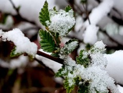 Ойрын өдрүүдэд хур тунадастай