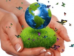 Модгүй бол усгүй, усгүй бол амьдралгүй 