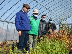 Ерөнхийлөгч У.Хүрэлсүх ойжуулалт, үрслэгээний газруудад  ажиллалаа