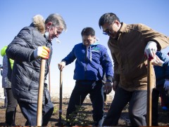 Монгол Улсад суугаа Дипломат төлөөлөгчийн газрууд, олон улсын байгууллагууд “Тэрбум мод” үндэсний ..