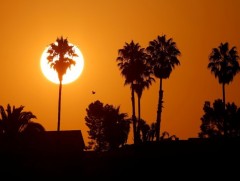 НҮБ-ын Цаг уурын байгууллага 2020 онд Ази тивд цаг агаар түүхэнд байгаагүй их халсан гэж дүгнэв 