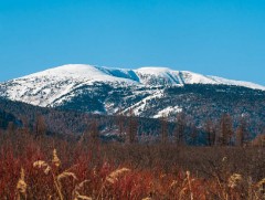 Бурхан Халдун ууланд виртуал аялал хийх боломжтой