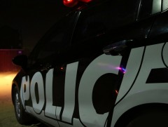 34 адуу, 13 ямаа, нэг тэмээ, 39 үхэр хулгайлсан хэргийг илрүүллээ