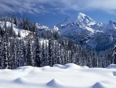 Балчир есийн жаварт...