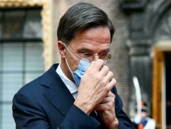 Нидерландад зул сарын баяраар хөл хорио тогтооно  