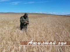 “Ажилтай хүн” хөрөг нэвтрүүлэг