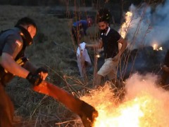 Парагвайд агаарын бохирдол дээд түвшинд хүрлээ 