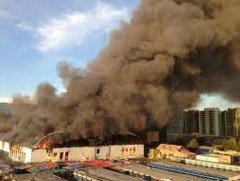 Веллингтон хотын эсэргүүцэгчид, цагдаа нарын мөргөлдөөний үед хэд хэдэн гал гарчээ