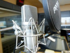 “Мод бол газрын зул”