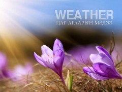 Улаанбаатарт өдөртөө 13 хэм дулаан 