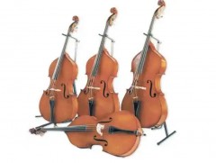 Контрбасс хөгжмийн сургалт, өнөөгийн байдал