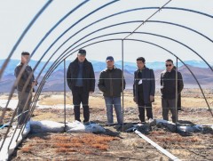 Баян-Өлгий аймаг “Ногоон Өлгий” дэд хөтөлбөр хэрэгжүүлж байна