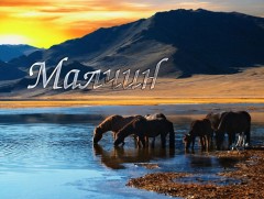 “Малчин” нэвтрүүлэг