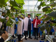 300 тэрбум төгрөгөөр 50 га талбайд хүлэмж барихад нийслэлчүүдийн хэрэгцээг бүрэн хангана