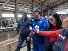 Шаардлага хангасан 30 ферм байгуулснаар дотоодын сүүний хэрэгцээг бүрэн хангах боломжтой