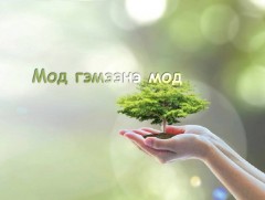 Мод буюу ойн шинжлэх ухаан