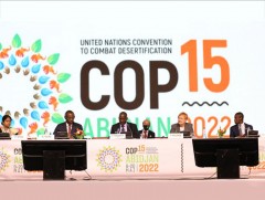 НҮБ-ын цөлжилттэй тэмцэх конвенцын Талуудын 17 дугаар бага хурал 2026 онд Монгол Улсад болно