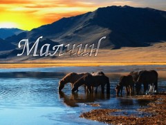 Малч удмын ухаан цэлмэг