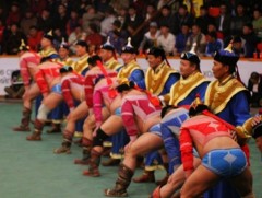 Энэ сард Монгол бөхийн өргөөнд болох барилдааны хуваарь